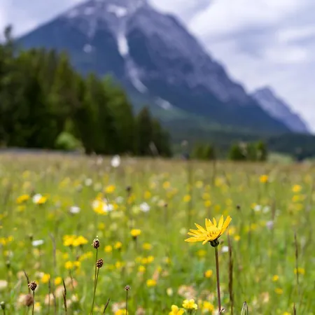 Karwendel Berglodge Appartamento Leutasch